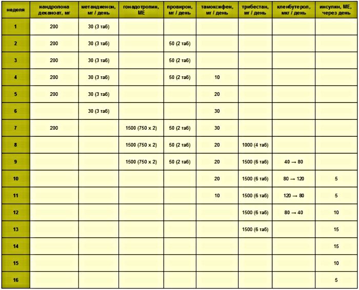 бронхолитические средства в бодибилдинге