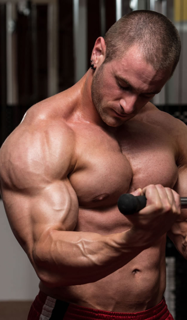 Тренболон тренировка